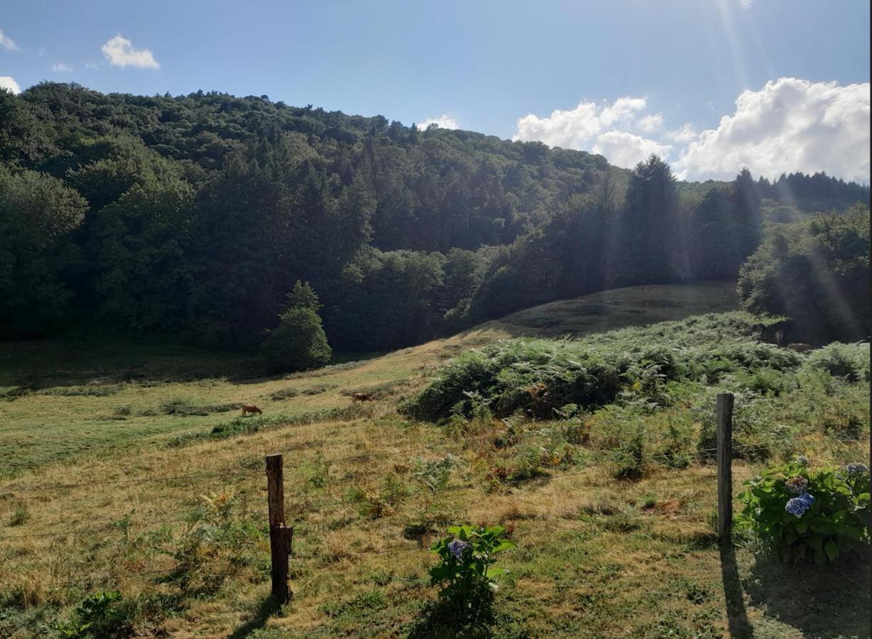 Chalet Charmant A Saint-Sylvestre Avec Terrasse Et Jardin Ambazac المظهر الخارجي الصورة